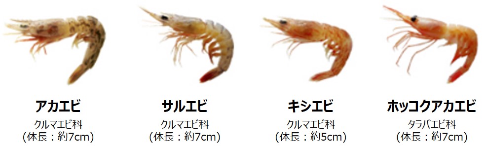 かっぱえびせん の原料のえびの産地はどこです よくいただくご質問 お客様相談室 カルビー株式会社