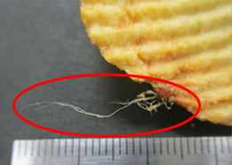ポテトチップスに白っぽい透明で繊維状のヒモ ま よくいただくご質問 お客様相談室 カルビー株式会社
